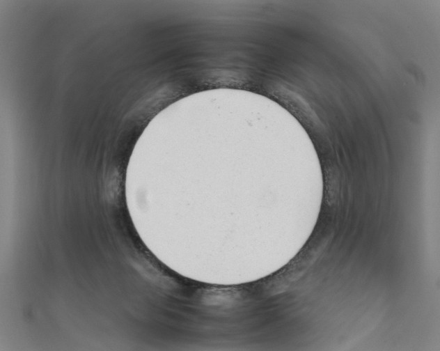 X0000111210077200908121141