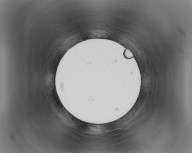 X0000111210079200908121141