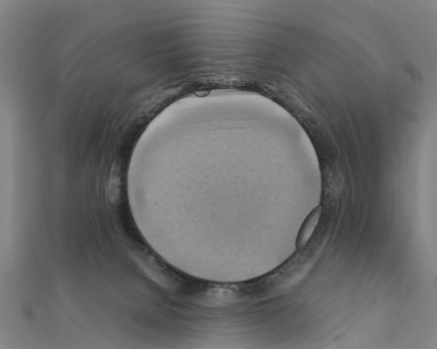 X0000111210080200908121142