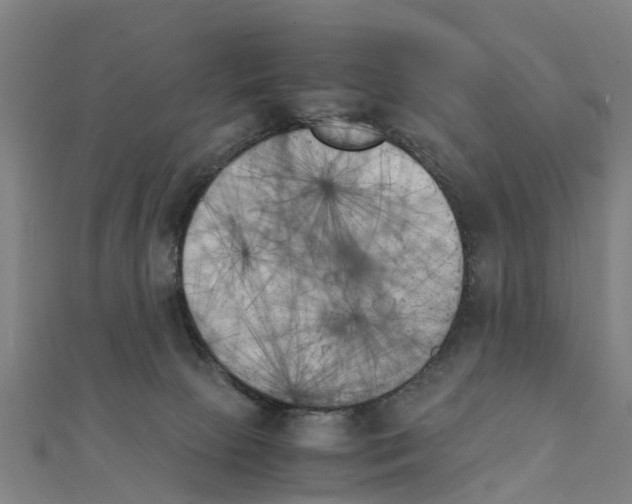 X0000111210081200908121142