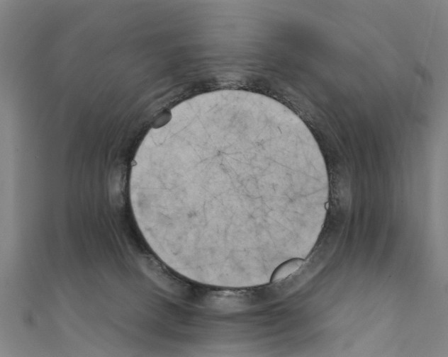 X0000111210082200908121142