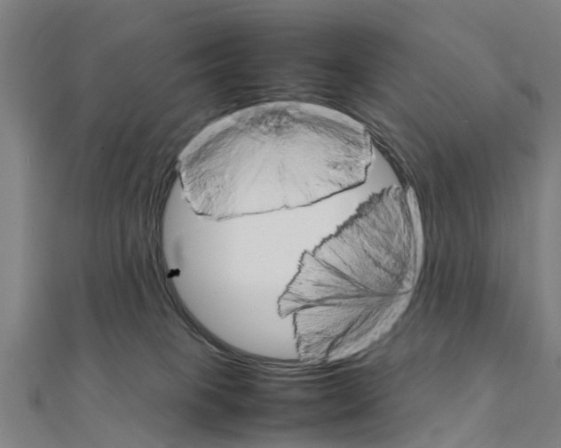 X0000111210085200908121142