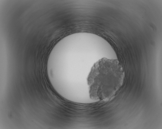 X0000111210086200908121142