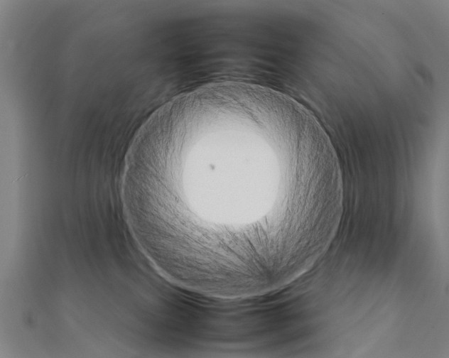 X0000111210087200908121142