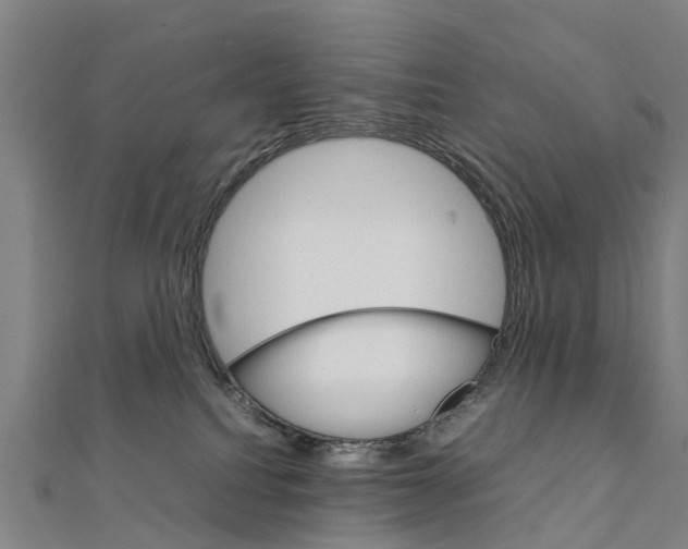 X0000111210088200908121142