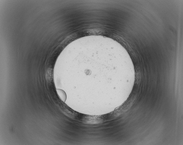 X0000111210093200908121142