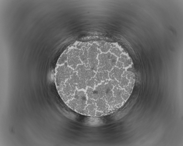 X0000111210095200908121142