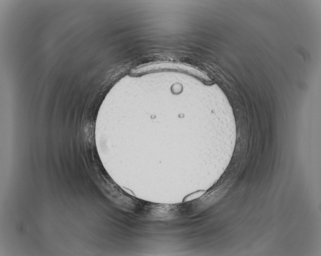 X0000111210096200908121142