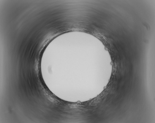 X0000111210098200908121141