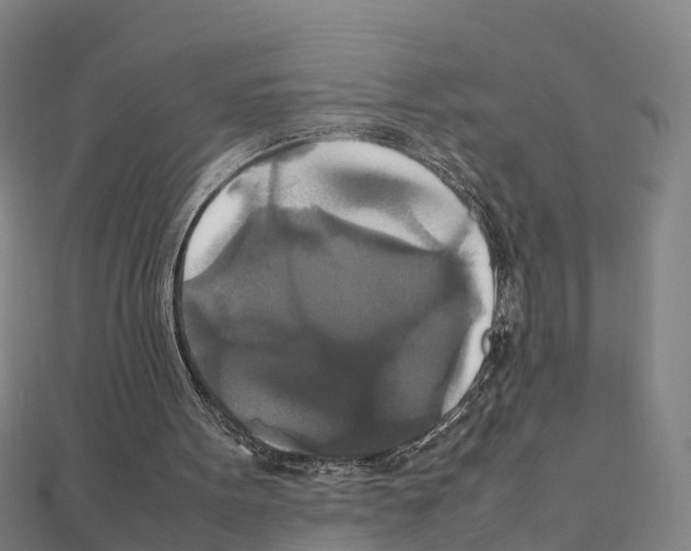 X0000111210099200908121141