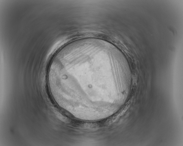 X0000111210101200908121141