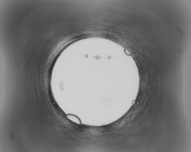 X0000111210103200908121141