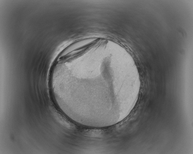 X0000111210104200908121141