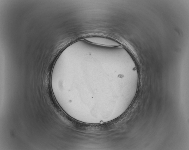 X0000111210105200908121141