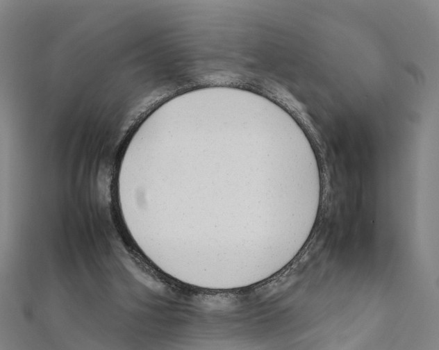 X0000111210106200908121141