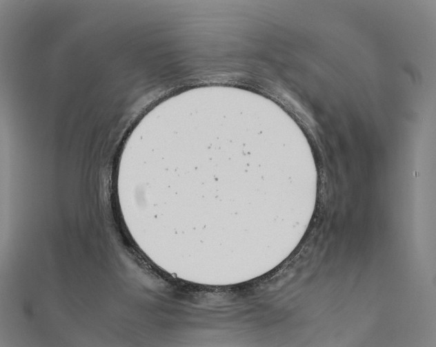 X0000111210107200908121141