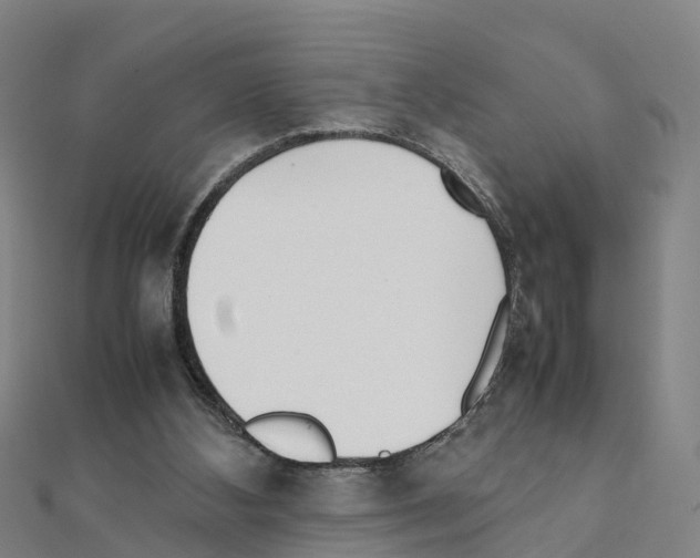 X0000111210108200908121141