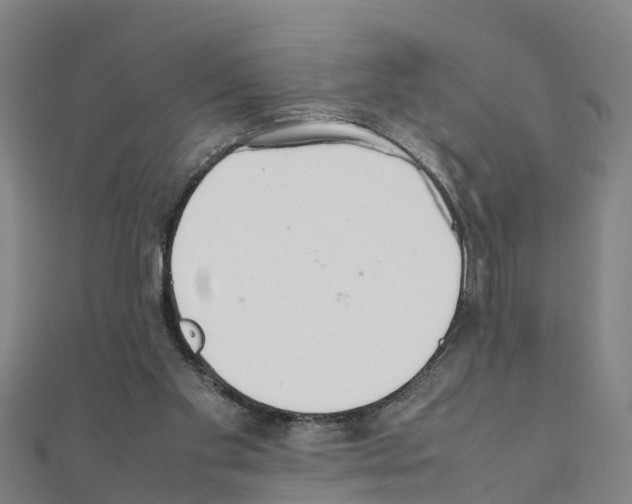 X0000111210109200908121141