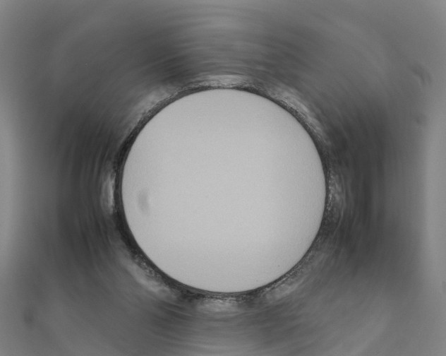 X0000111210110200908121141