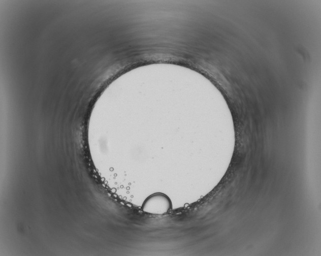 X0000111210111200908121141