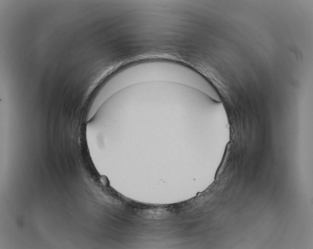 X0000111210112200908121141