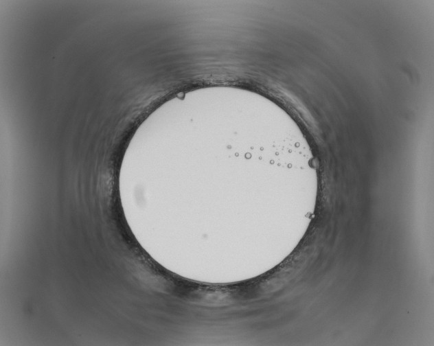 X0000111210113200908121141