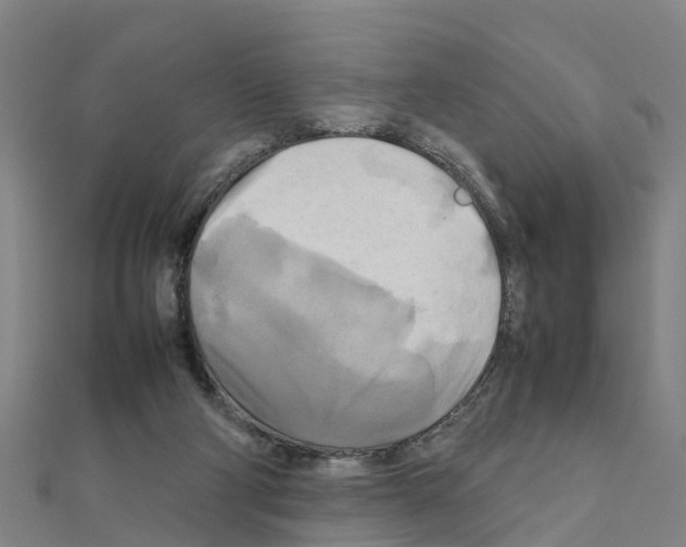 X0000111210114200908121141