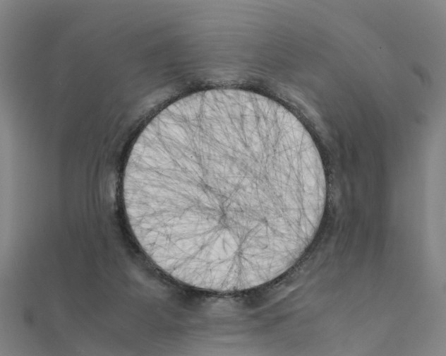 X0000111210115200908121141