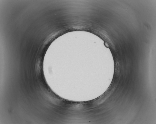 X0000111210116200908121141