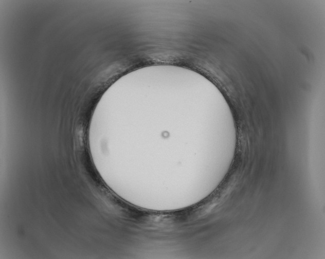 X0000111210117200908121141