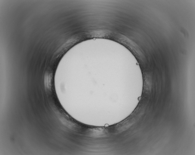 X0000111210118200908121141