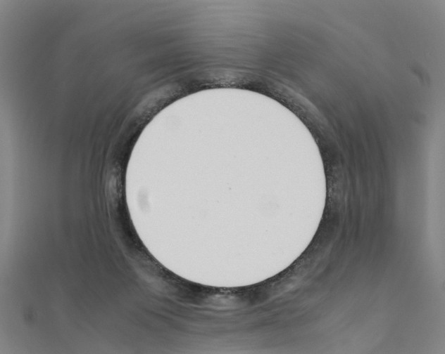 X0000111210119200908121141