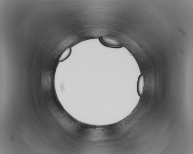 X0000111210120200908121141