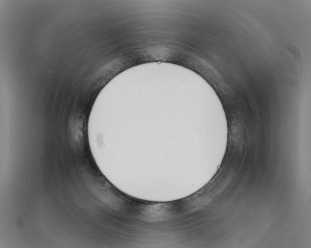 X0000111210122200908121141