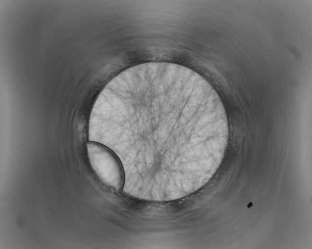 X0000111210123200908121141