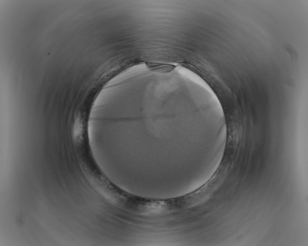 X0000111210124200908121141