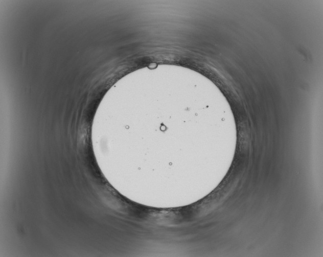 X0000111210125200908121141