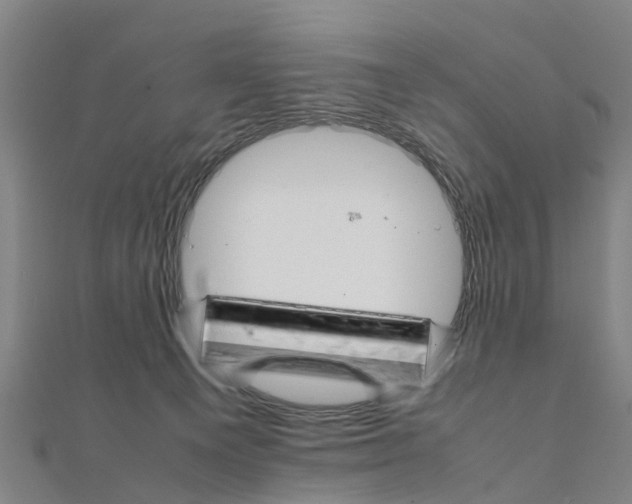 X0000111210129200908121141