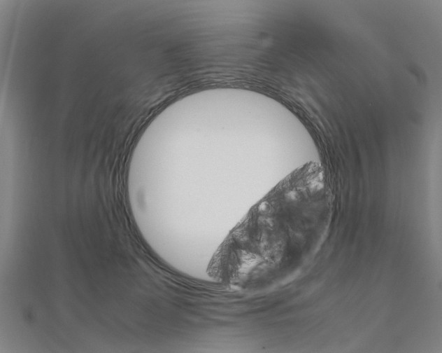 X0000111210131200908121141