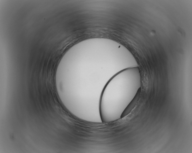 X0000111210132200908121141