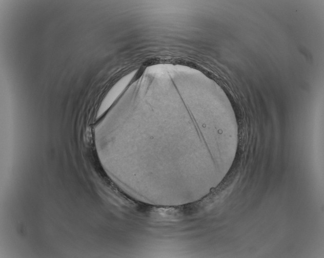 X0000111210137200908121140