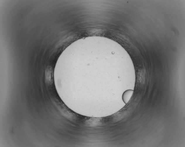 X0000111210138200908121140