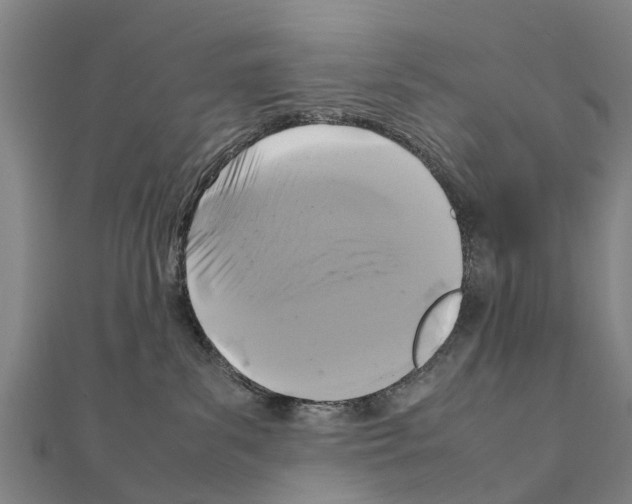 X0000111210139200908121140