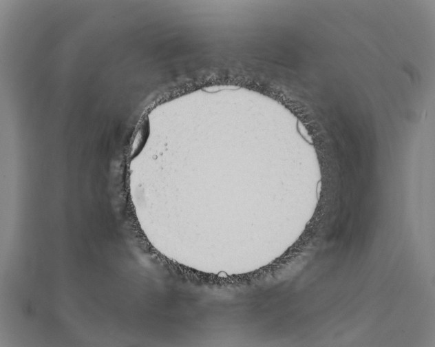 X0000111210144200908121140