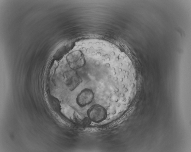 X0000111210145200908121140