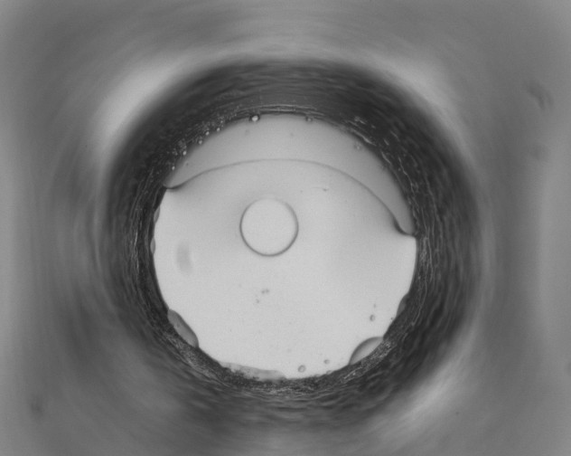 X0000111210146200908121140