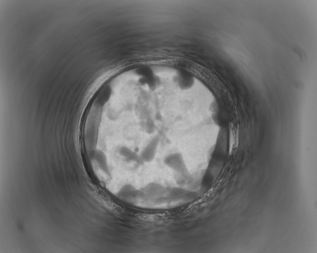 X0000111210147200908121140