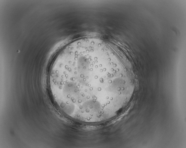 X0000111210149200908121140