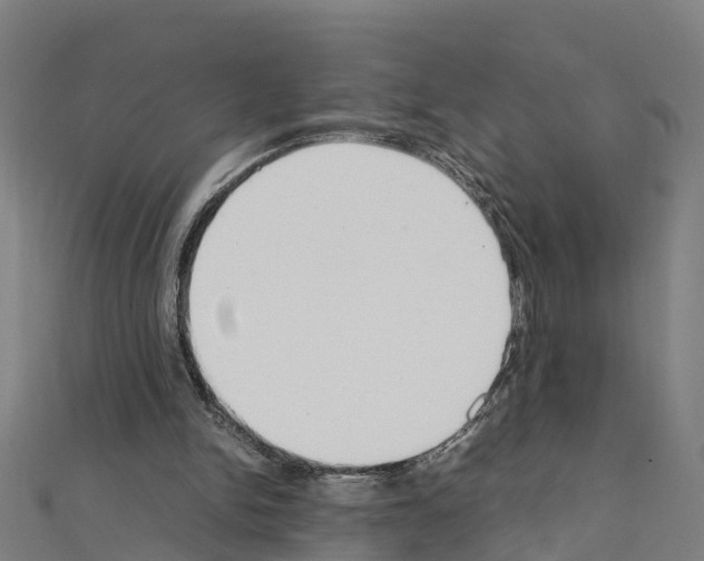 X0000111210150200908121140