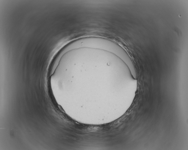 X0000111210152200908121140